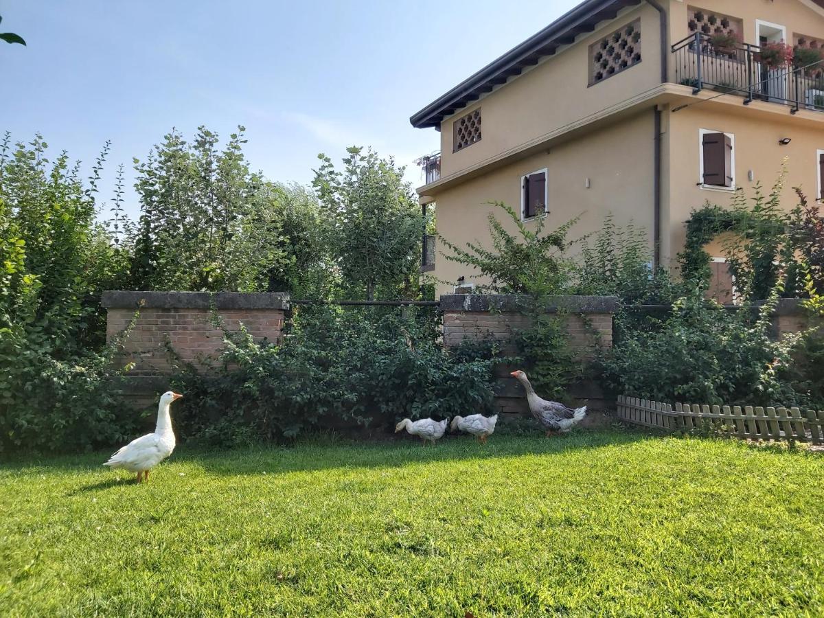 B&B La Casa sul Fiume San Martino dall'Argine Esterno foto
